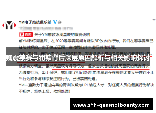 魏震禁赛与罚款背后深层原因解析与相关影响探讨