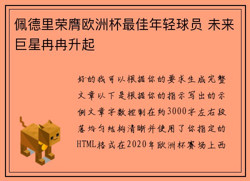 佩德里荣膺欧洲杯最佳年轻球员 未来巨星冉冉升起